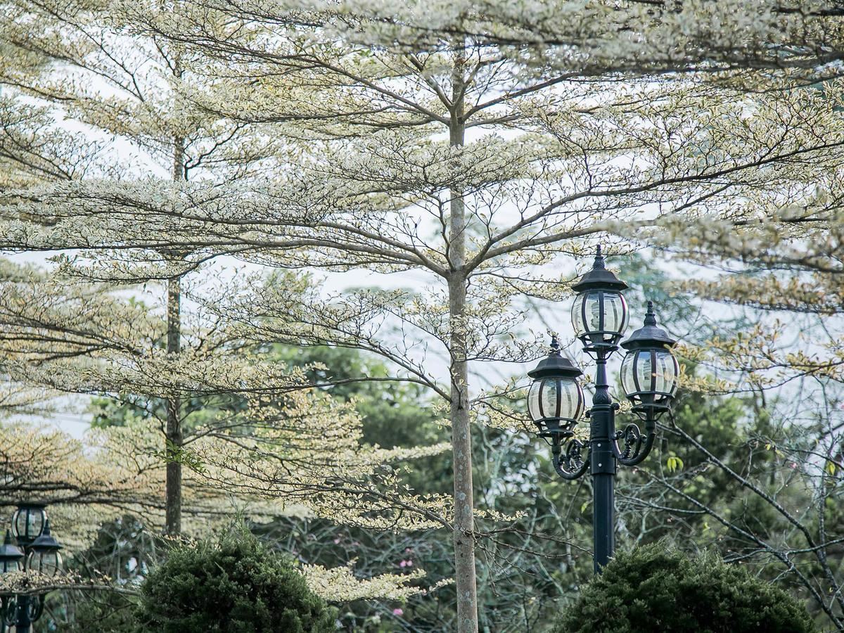 Flying Villa Nantou Ngoại thất bức ảnh